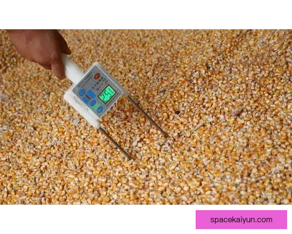 吉马良斯近期状态持续回暖，表现逐步恢复到最佳水平。